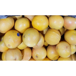 Pomelos