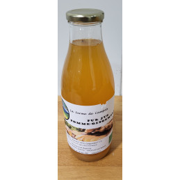 Jus Pomme / Gingembre Campels