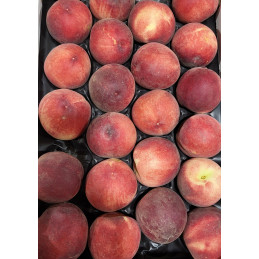 Pêche Blanche AA (gros fruits)