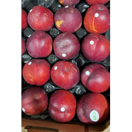 Nectarine Jaune Bio