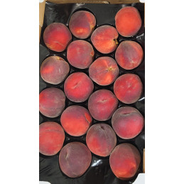 Pêche Mini Plateau 2 kg
