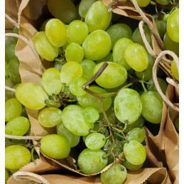 Raisin Blanc Vittoria
