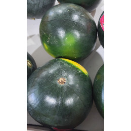 Pastèque Entière