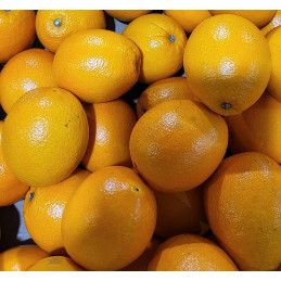 Orange Afrique du Sud