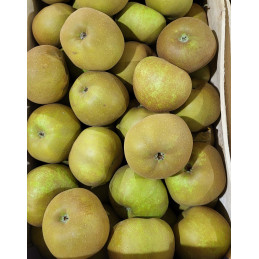 Pomme Reinette Canada Grise