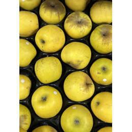 Pomme Bio Lafayette