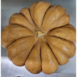 Citrouille Entière