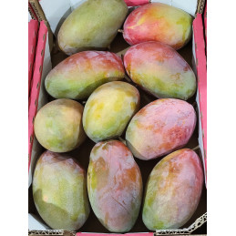 Mangue Pièce