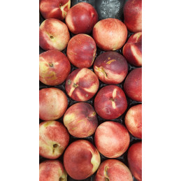 Nectarine blanche AA (gros...
