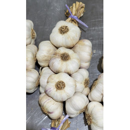 Ail Violet Grappe 500g