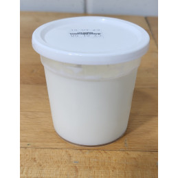 Yaourt Chevre Gouyre
