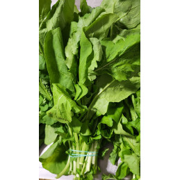 Roquette paquet Pamiers