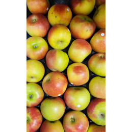 Pomme Pixie Bio