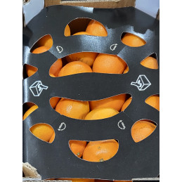 Clémentine Caissette 2k...