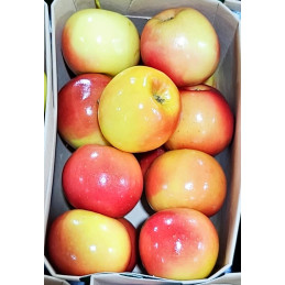 Pomme Rockit Bqt 800g...