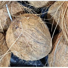 Noix de Coco