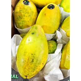Papaye