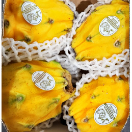 Pitaya Jaune