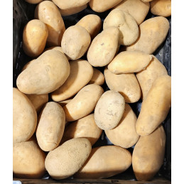 Pdt Bio Ditta France Cat I