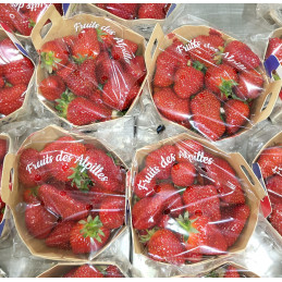Fraise 500g Dream France Cat I
