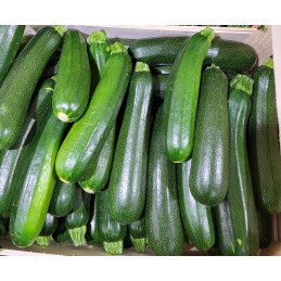 Courgette