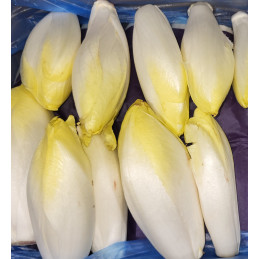 Endive