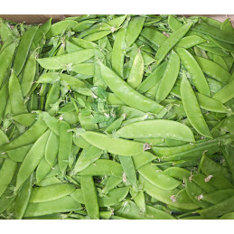 Pois Mangetout