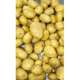 Pdt Colomba Vrac France Cat I