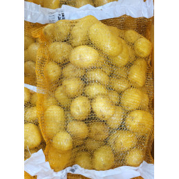 Pomme de terre nouvelle...