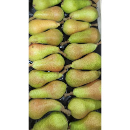 Poire Carmen Italie Cat I