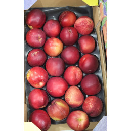 Nectarine Mini Plateau 2 kg