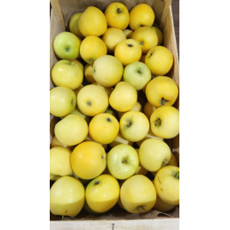 Pomme Asfari Colis