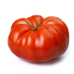Tomate côtelée type Marmande