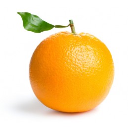 Orange Lulu