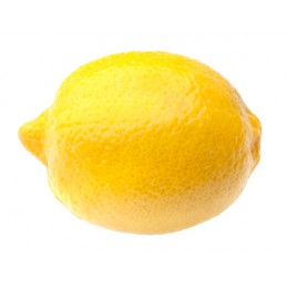 Citron Bio