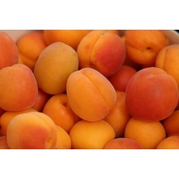 Abricot Confiture colis