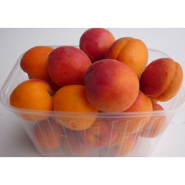 Abricot Bqt 1Kg