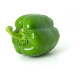 Poivron Couleur Pamiers