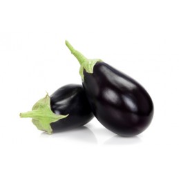 Aubergine Pamiers
