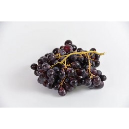 Raisin Muscat Noir AOP