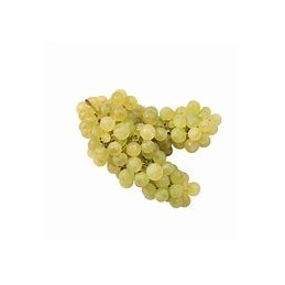 Raisin Chasselas AOP