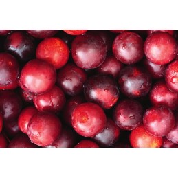 Prune Confiture