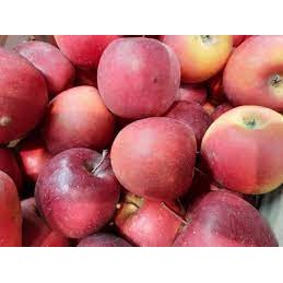 Pomme Story