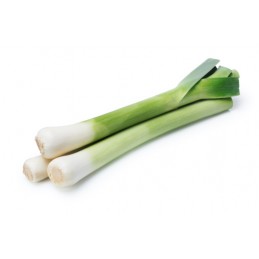Poireau Bio Pamiers